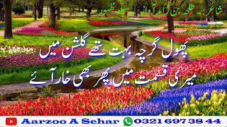 Meri janib jo mere yaar aaye || Heart Touching Sad Urdu Poetry || Talha Bin Zahid || Aarzoo A Sehar