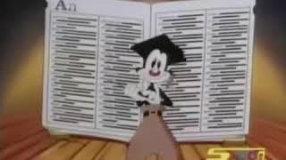 Animaniacs All the words in the English language Arabic