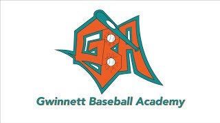 Best of Gwinnett Winner: Gwinnett Baseball Academy