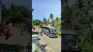 TELOLET OM.. Bus Wulyudza - Miyor Holiday