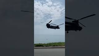 Chinook at Amroth