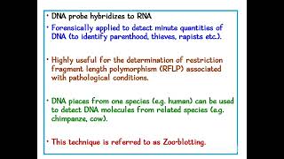 Applications of Southern Blotting