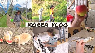 Моя обычная жизнь в Южной Корее / KOREA VLOG