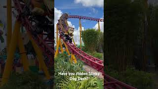 Have you ever ridden Slinky Dog Dash? #wdw #hollywoodstudios #slinkydogdash #rollercoaster