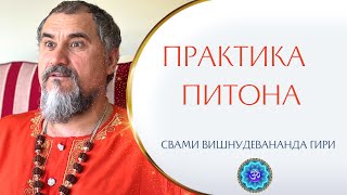 Какова йогическая практика ПИТОНА? Пример парамгуру Свами Прабхакары Сиддха-йогина