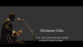 Jean Sylvain Akouala dans "Hormone Céleste"