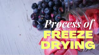 The Process of Freeze Drying #freezedrying #freezedryingfoods