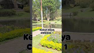 #kebunrayacibodas