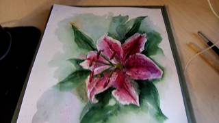 Рисуем акварелью лилию. Евгения Кузьмина. Магия акварели. Magic watercolors. Draw flowers.