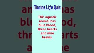 Marine Life Quiz