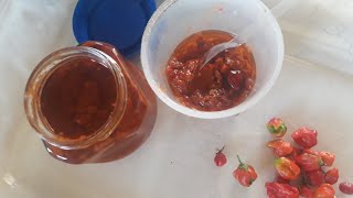 como fazer  molho de  pimenta. modo @receitasdatiamartatiamarta