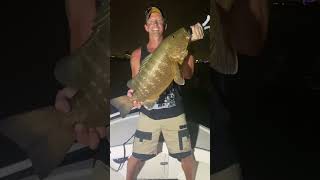 Huge cubera night fishing for Miami for tarpon!