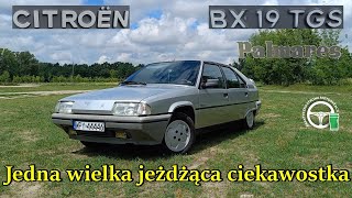 Citroen BX 19 TGS - Jedna Wielka jeżdżąca ciekawostka