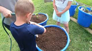 Gardening is addictive. the kids help us add more tubs