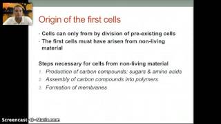 1.5 IB - Origin of Cells