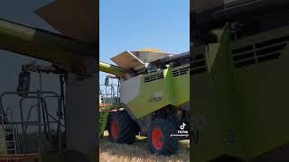 Claas w akcji żniwa 2022 #shorts