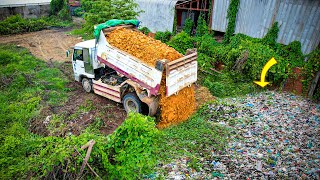 Start a New Project! Landfill in flooded area, Bulldozer D20P KOMATSU & 5 Ton Truck Pushing Stone