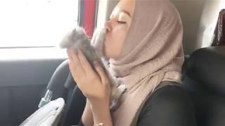 Emma Maembong geram nak cium kucing tak dapat