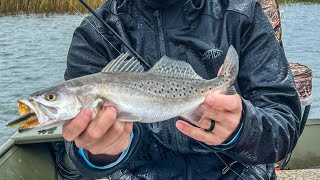 Rigolets speckled trout in the rain!