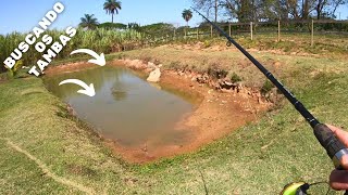 MUDANDO OS PEIXES PARA O LAGO PRINCIPAL - Clube de Pesca Estância do Vale - parte 1