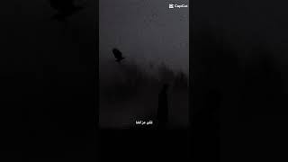 "سنقول له يرسول الله تعبنا في هذه الدنيا... 😔🍯🌹🎧." |#2024 #tiktok #2023 #shorts #reels #اكسبلور #fy