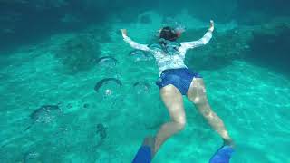 Getting eye to eye with reef sharks in Fiji