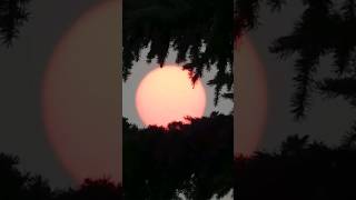 SOL FICA VERMELHO EM VÁRIAS CIDADES E ASSUSTA MUITAS PESSOAS #compartilhar #vlog #sol