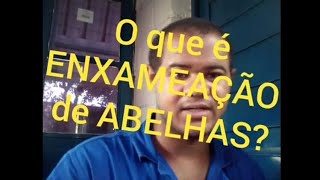 ENXAMEAÇÃO!! o QUE É isso?? VEJA!