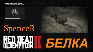 Превосходная Шкурка Белки. Red Dead Redemption 2.