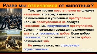 Как вы добровольно передали своё имущество в Реестры РФ!