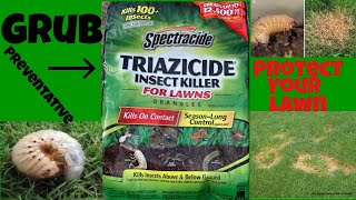 Preventing Grubs in your lawn