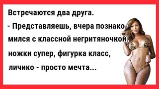 Вчера познакомился с такой классной негритянкой. Новые Анекдоты! Свежие Анекдоты! Смешные анекдоты!