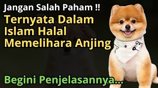 Ternyata Anjing HALAL Dipelihara Menurut Islam? Begini Penjelasannya...