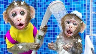 KiKi Monkey baths in the toilet and eat ice cream in the garden | KUDO ANIMAL KIKI