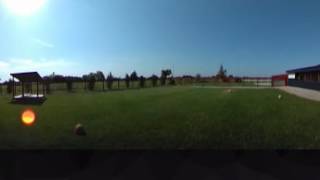 360 Tour of a Turn out yard and back of Dog Kennel