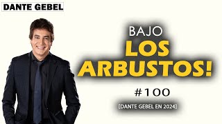 Dante Gebel 2024 | Bajo los arbustos