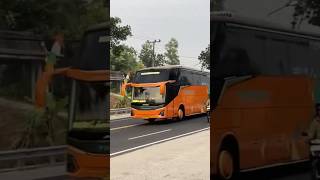 Bus Tividi Pariwisata Body Jetbus 5 Adiputro Di Jalan Wates Pagi Hari