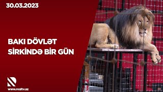 Bakı Dövlət Sirkində bir gün - Sirk aprelin 30-dək təqdim edəcəyi şouya hazırlıqları davam etdirir