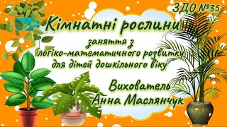 Заняття з логіко-математичного розвитку «Кімнатні рослини» - вихователь: Анна Маслянчук