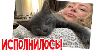 Стоило только нажаловаться! Тут как тут!  #натальяфальконе