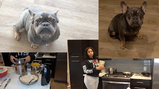 Cooking For My French Bulldog