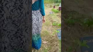 SUDAH JADI TRADISI MENJELANG HARI RAYA IDUL FITRI/. ZIARAH KE MAKAM