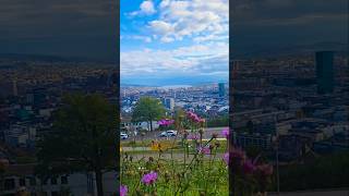 📍Käferberg Zürich🇨🇭#fallseason #autumn #herbst #waidberg #zurich #switzeland #october #käferberg