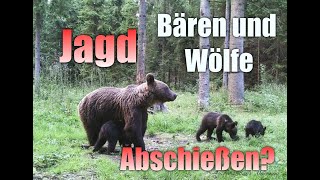 Jagd auf Bär und Wolf I Alle abschießen ? I Wieviel ist zuviel?  I Experten Meinung !