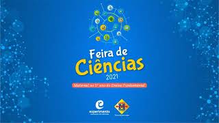 Feira de Ciências - 2º Período