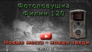 Фотоловушка Филин 120. "Новые места - новые звери". Часть 2