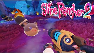 What To Do With RINGTAIL Slimes? - Slime Rancher 2 Gameplay LIVE 🔴 (#5)