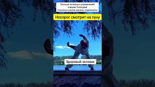 Упражнение для здоровой спины и суставов 👍#упражнения