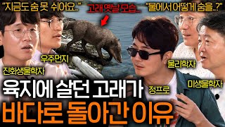 고래는 왜 물에서 숨을 쉬지 못하는 걸까? (잠수하며 살고 있는 고래들..) | 과학을 보다 EP.78