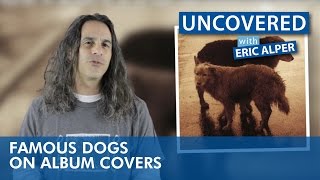 SessionsX UNCOVERED: Famous Dogs On Album Covers